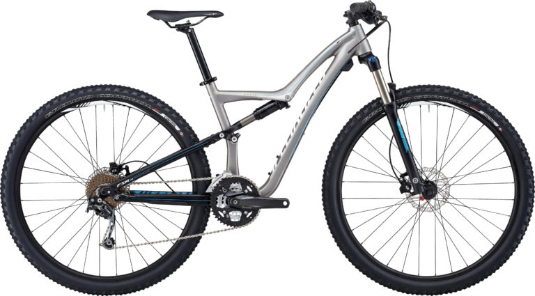 Specialized Rumor