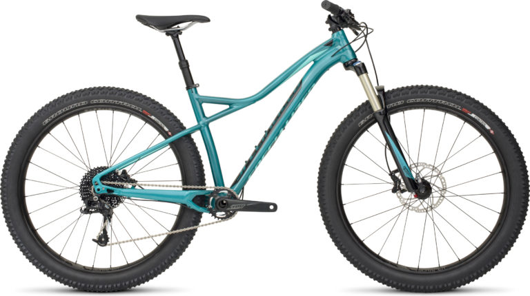 Specialized Ruze Comp 6Fattie