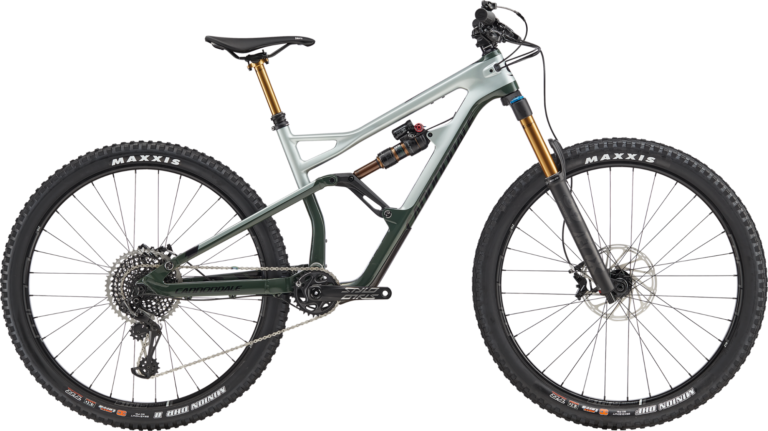 Cannondale Jekyll 29 1
