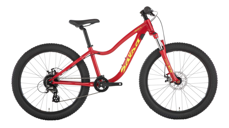 Salsa Timberjack 24 SUS