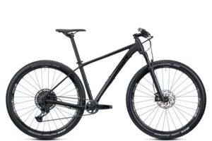 2021 Radon JEALOUS AL 9.0 29″