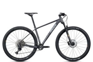 2021 Radon JEALOUS AL 8.0 29″