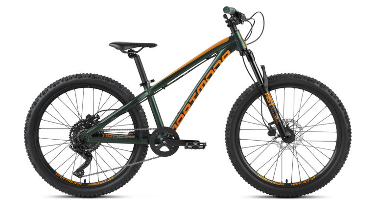 Dartmoor Hornet Junior