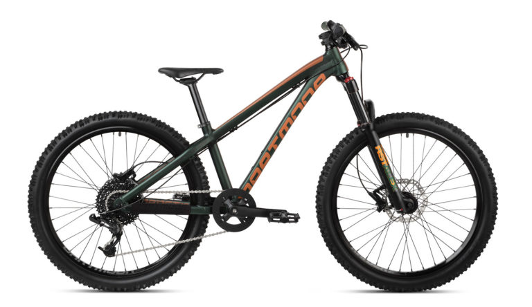 Dartmoor Hornet Junior