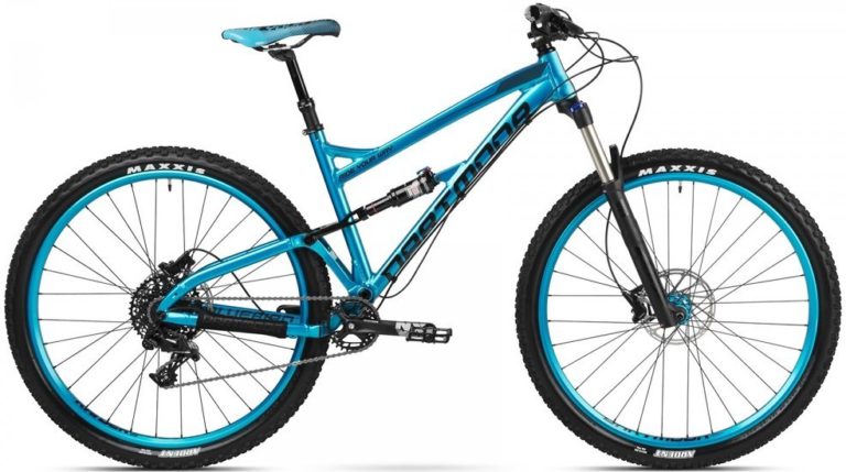 Dartmoor Bluebird 29