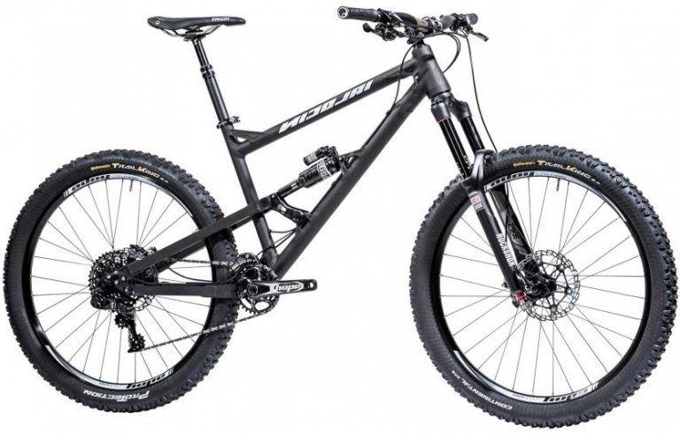 Nicolai Ion 16