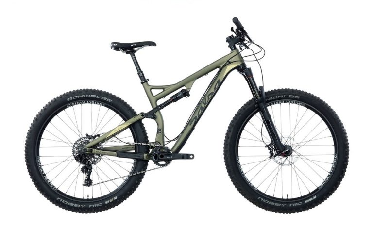 Salsa Pony Rustler Carbon GX1
