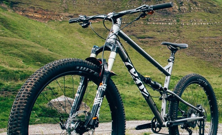 Cotic FlareMAX Platinum 29 Build