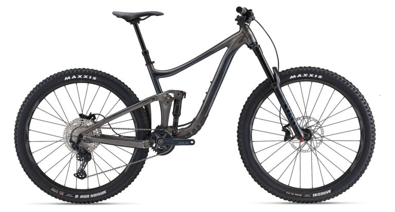 Giant Reign 29