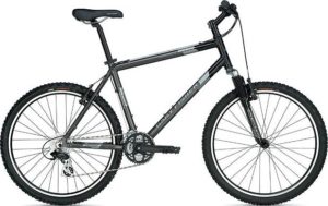 Trek Advance