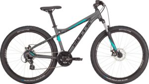 2010SS グリフィスパーク　29 2010 Specialized Rockhopper Expert 29 - Specs, Reviews