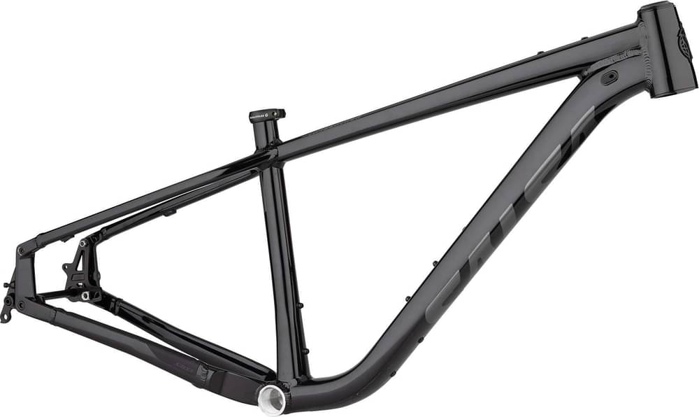 Image of Salsa Timberjack Frame