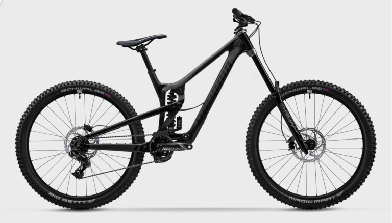 Propain Rage CF 29