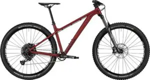 2022 Canyon Stoic 4 - Specs, Reviews, Images - Mountain Bike